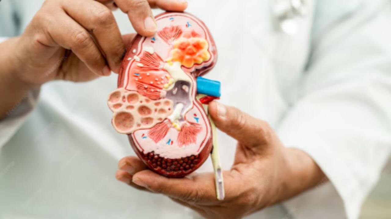 लघवीत दिसणारे 'हे' बदल असू शकतात किडनी खराब होण्याची लक्षणे, जाणून घ्या