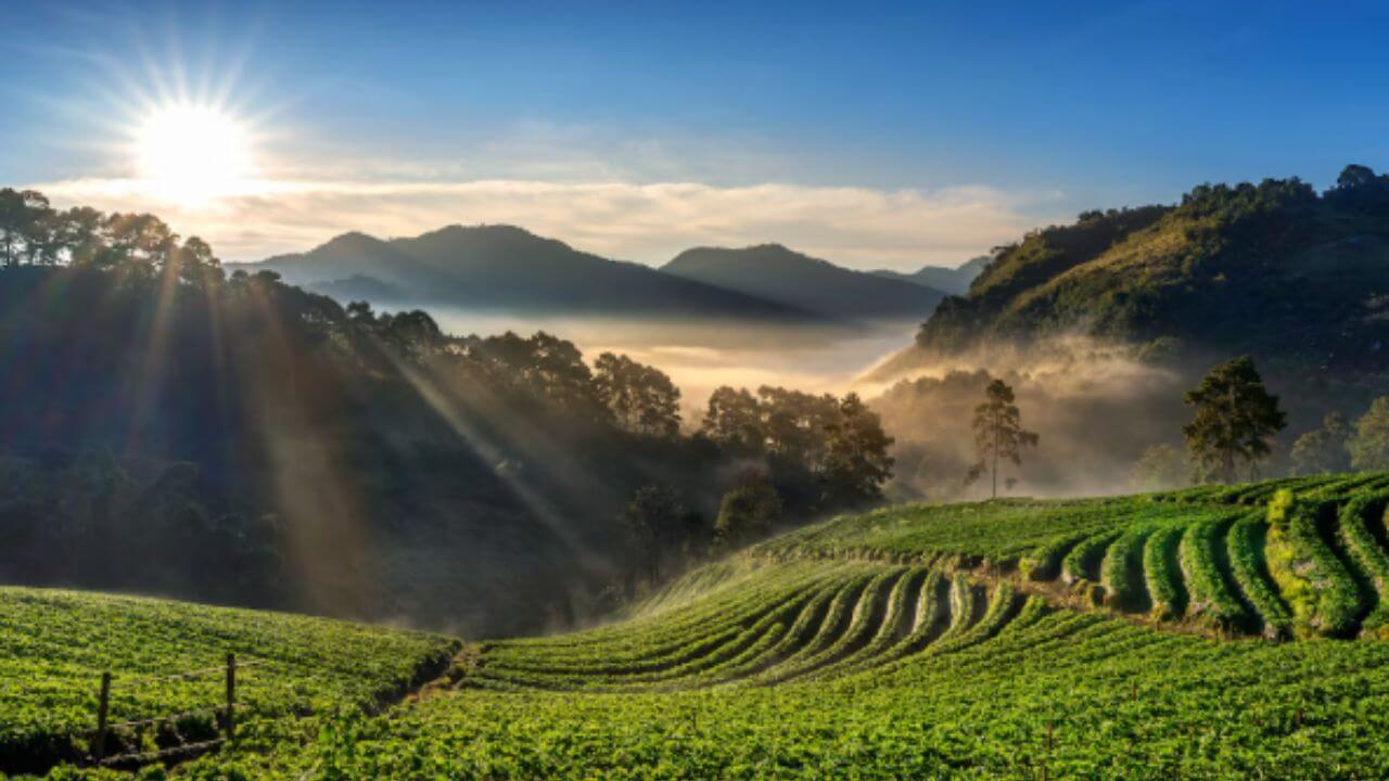 हिवाळ्यात ट्रिपचं प्लॅनिंग करताय? दक्षिण भारतातील 'ही' ठिकाणे नक्की घालतील भुरळ