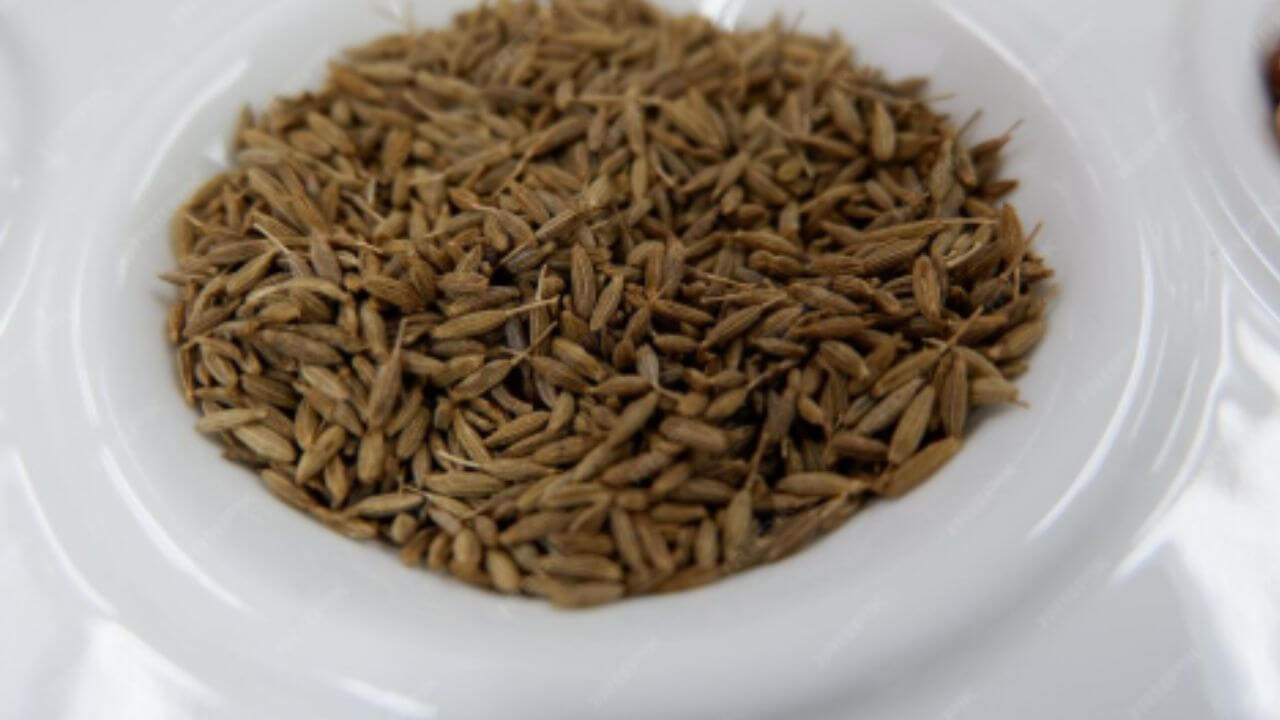 चेहऱ्यावरील मुरुमे कमी करण्यापासून ते केसगळती रोखण्यापर्यंत उपयुक्त आहे भाजलेले जिरे, जाणून घ्या फायदे