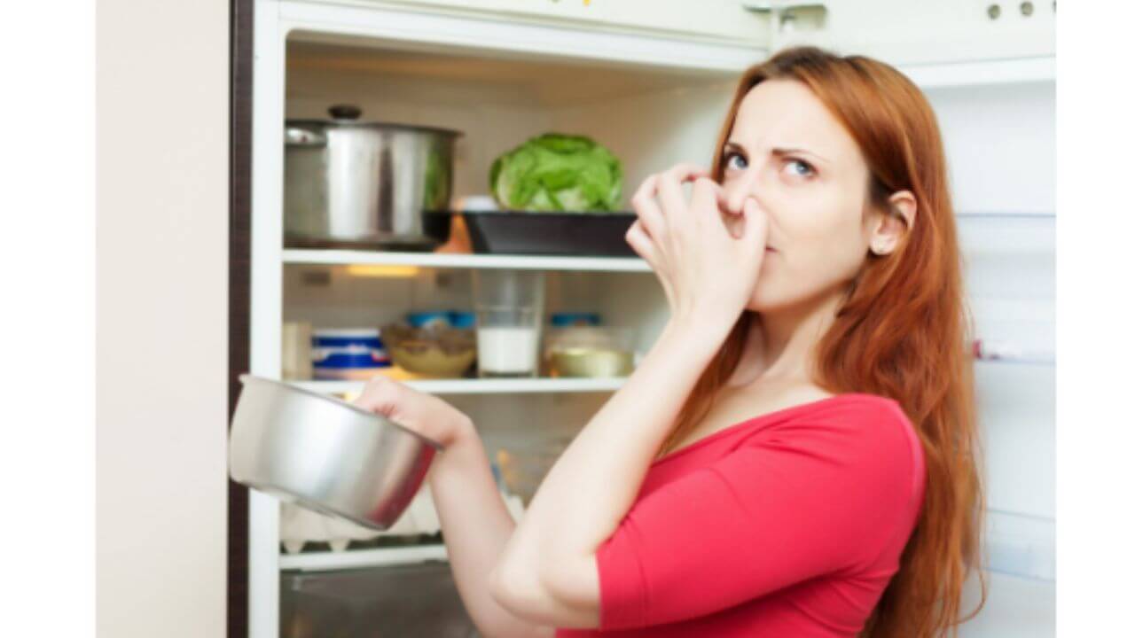 तुमच्याही फ्रिजमधून कुबट वास येतो, डागही पडलेत? 'या' सोप्या टिप्सने मिनिटांत होईल स्वच्छ