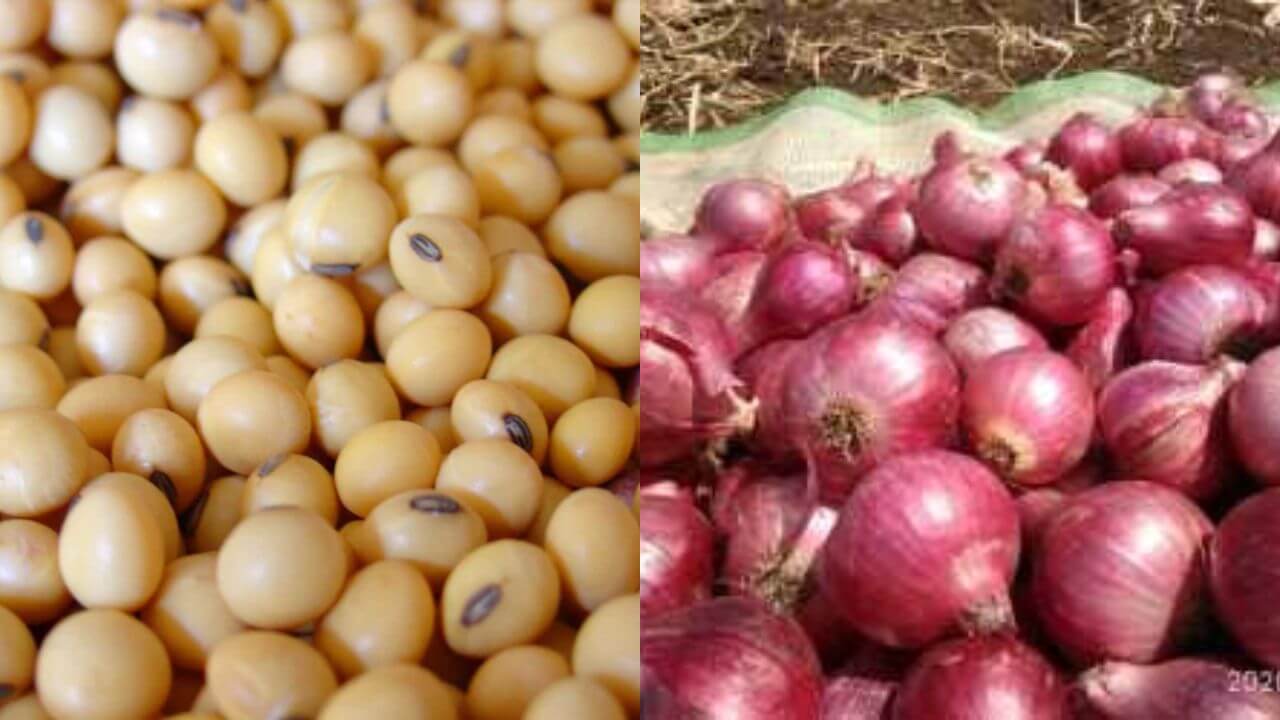 Market Rates: महाराष्ट्रातील सोयाबीन आणि कांद्याच्या दराबाबत मोठी अपडेट; सोयाबीन तेजीत, कांद्याचा दर कमीच!