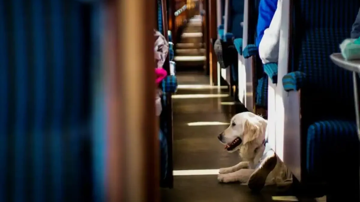 ट्रेनमध्ये कुत्र्यांना नेता येऊ शकते का? भारतीय रेल्वेचे नियम जाणून घ्या