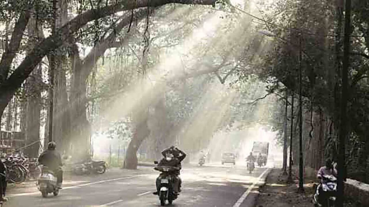 महाराष्ट्रात तापमानाचा पारा 10°C च्या खाली; 19 आणि 20 नोव्हेंबरला थंडीच्या लाटेचा इशारा