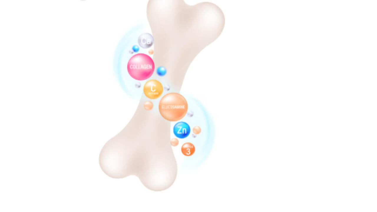 हाडे मजबूत करण्यासाठी करा ५ उपाय, दूर होतील सांध्याचे आजार