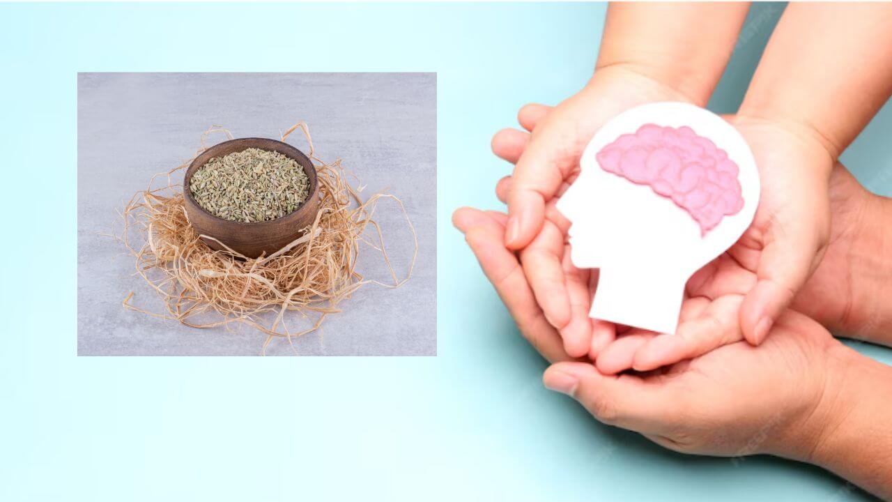 मेंदू निरोगी ठेवून, नैराश्य दूर करते 'ही' आयुर्वेदिक वनस्पती, जाणून घ्या सेवन करण्याची पद्धत