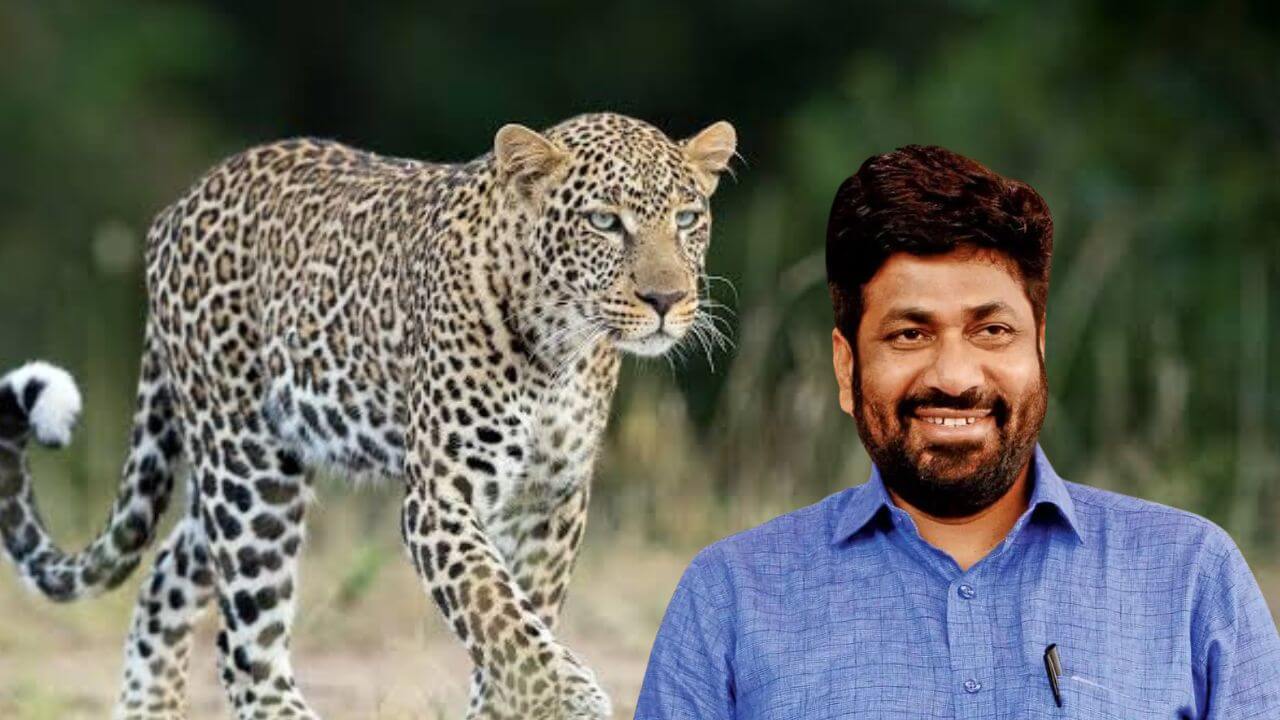 Bachhu Kadu : आमदार खासदारांच्या घरात बिबट्या घुसला पाहिजे - बच्चू कडू