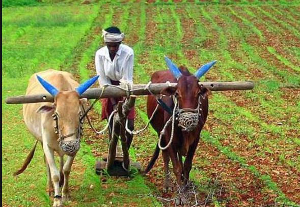 नए साल मे किसानों को बड़ी सौगात देने की तैयारी में मोदी सरकार