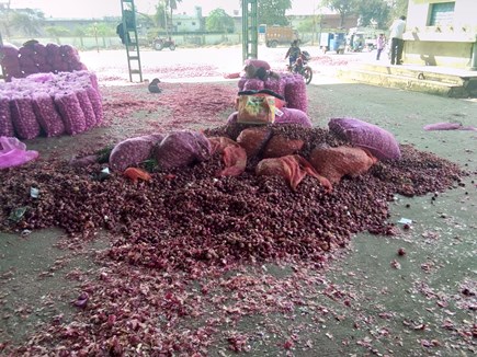 onion-rate-is-50-paise-per-kg-farmer-throw-it-outside-of-market-in-neemuch