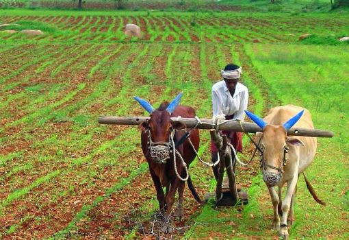 big-relief-to-farmers--Increase-in-model-prices-of-major-crops-