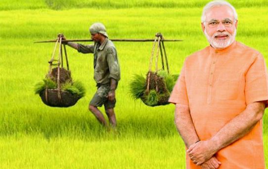 modi-government-gift-for-farmers-4000-per-acre-direct-transfer-in-account