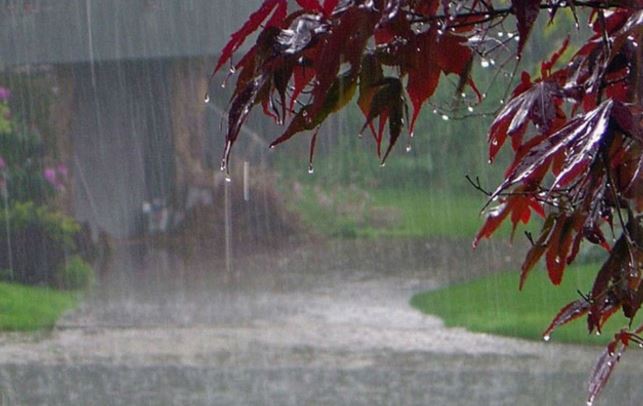 one-percent-less-rainfall-in-the-madhya-pradesh-
