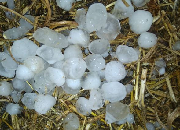 hailstone-in-gwalior-