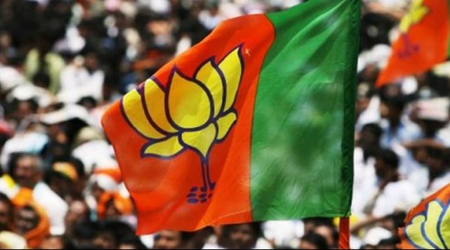 senior-bjp-leader-demanded-loksabha-election-ticket-in-mp