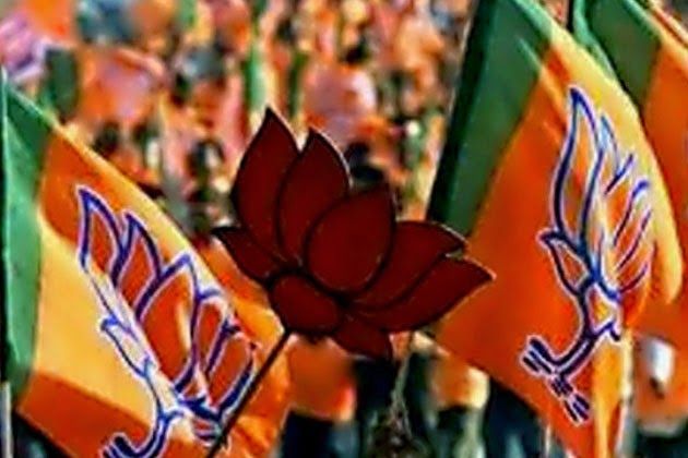 17-committees-set-up-by-BJP-on-Lok-Sabha-elections