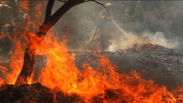 satellite-survey-highest-fire-in-the-forests-of-Madhya-Pradesh
