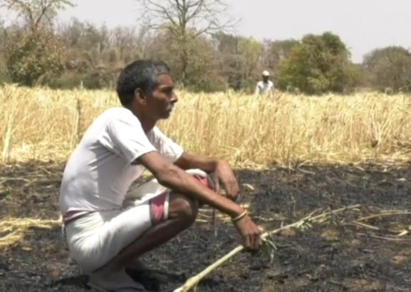 fire-in-farmer-field--destroy-five-acer-area-in-jabalpur