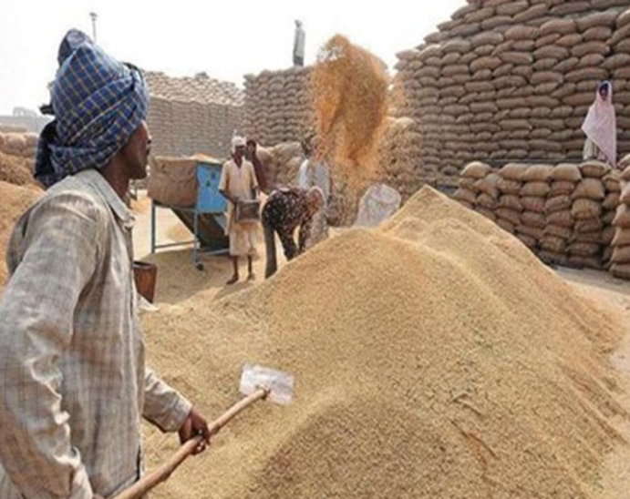 Kamalnath-government-will-get-the-date-of-purchase-of-rice