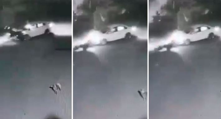 कार की टक्कर से 6 फीट हवा में उछले बाइक सवार, वायरल हो रहा वीडियो