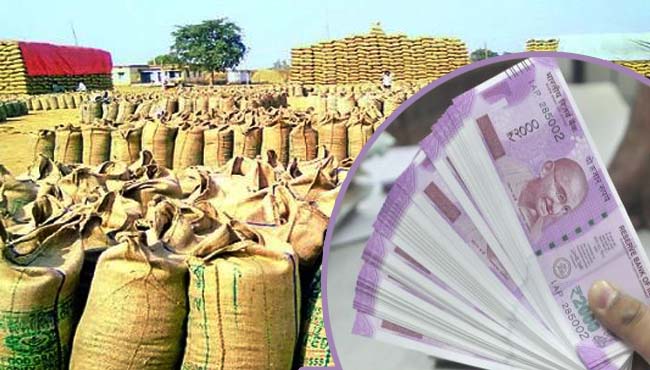 -Farmers-troubled-by-non-payment-of-wheat-purchase-in-minimum-support-price-