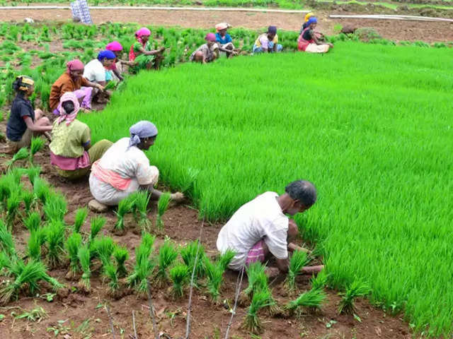 किसानों को आर्थिक रूप से मजबूत करने सरकार का नया कदम