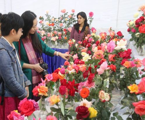 rose-exhibition-in-bhopal