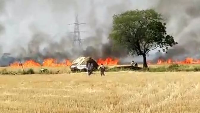 fire-in-250-acer-agriculture-field-in-jabalpur