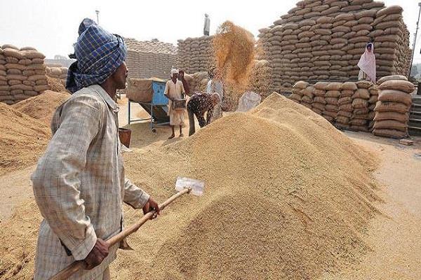 action-against-two-center-charges-for-buying-non-standard-wheat-katni-MP