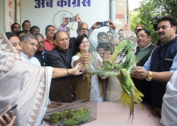 कांग्रेस प्रवक्ता ने मनाया सीएम का खास अंदाज में जन्मदिन, आजाद किए पंछी
