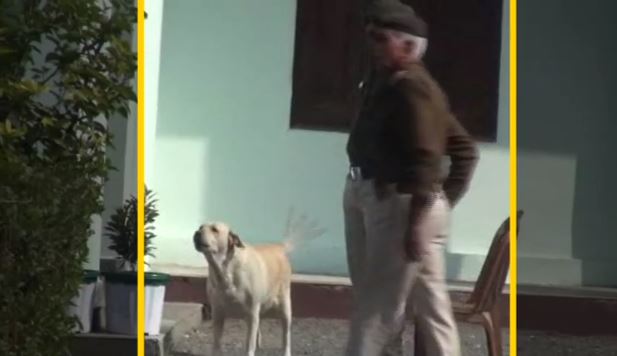 Morena-collector-doggy-get-special-security