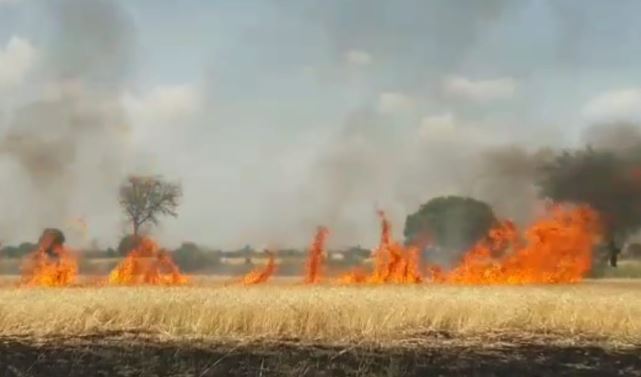 jabalpur-news-fire-in-crops-