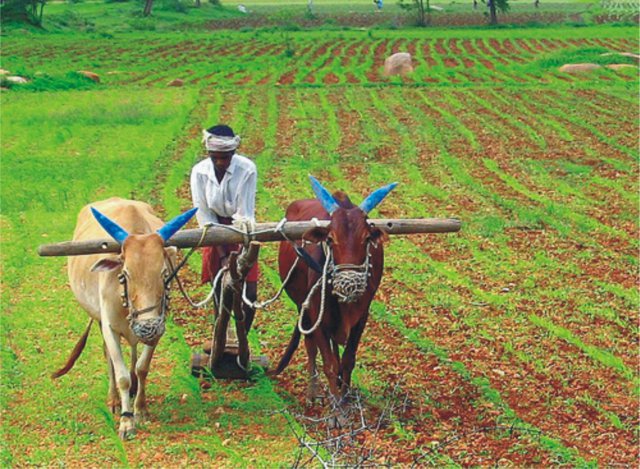 -Government-of-India-will-survey-the-farmers-of-Madhya-Pradesh
