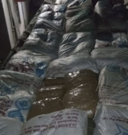 बुधनी में ट्रक से 673 किलो गांजा बरामद, पांच आरोपी गिरफ्तार