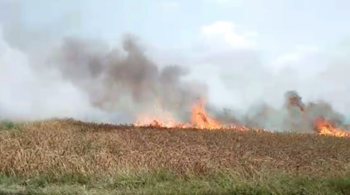 Over-35-fields-fire-destroy-wheat-crop