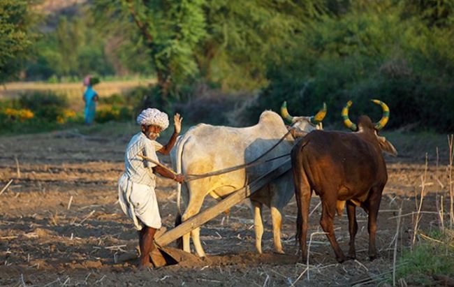 Modi-govts-next-bonanza-Loan-waiver-for-farmers-who-own-less-than-10-acre