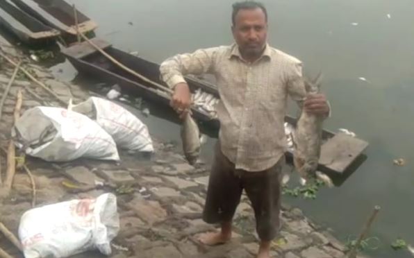 -Thousands-of-dead-fish-in-the-Supatal-pond
