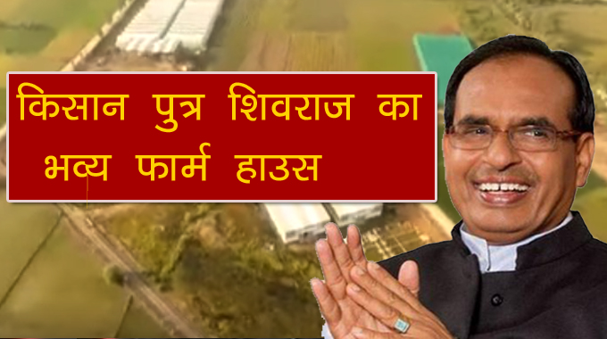mp-election-congress-viral-shivraj-singh-chauhan-farm-house-video-