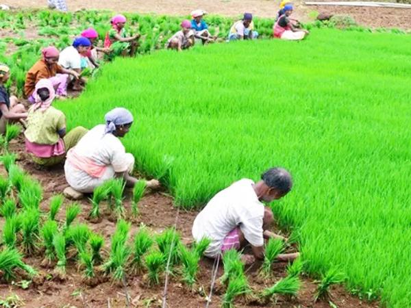 five-lakh-farmers-debt-will-be-waive-off-today