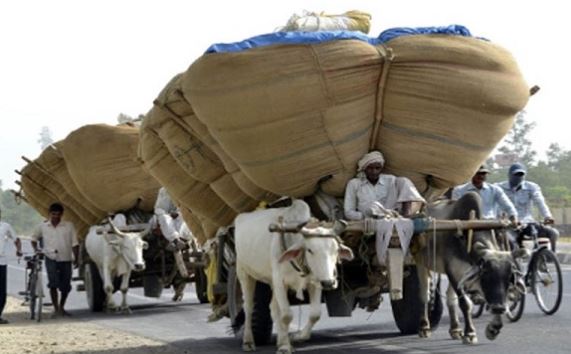 -Good-initiative--In-the-afternoon-the-restrictions-placed-on-transporting-goods-from-animals-or-riding