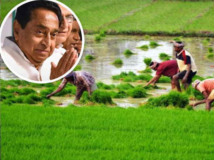 Kamal-Nath-government-will-give-another-gift-to-farmers-after-'debt-waiver'