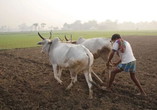 Bhopal-Farm-loan-to-be-waived-in-installments