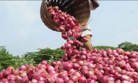 onion-purchase-scam-in-mp