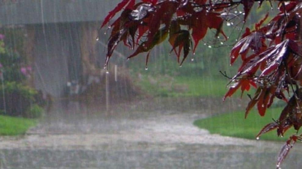 प्रदेश में 4 अप्रैल तक जारी रहेगा बारिश का सिलसिला, मौसम विभाग ने जारी किया yellow alert