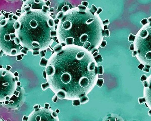उज्जैन में 15 तक पहुंचा कोरोना संक्रमितों का आंकड़ा, 5 की मौत