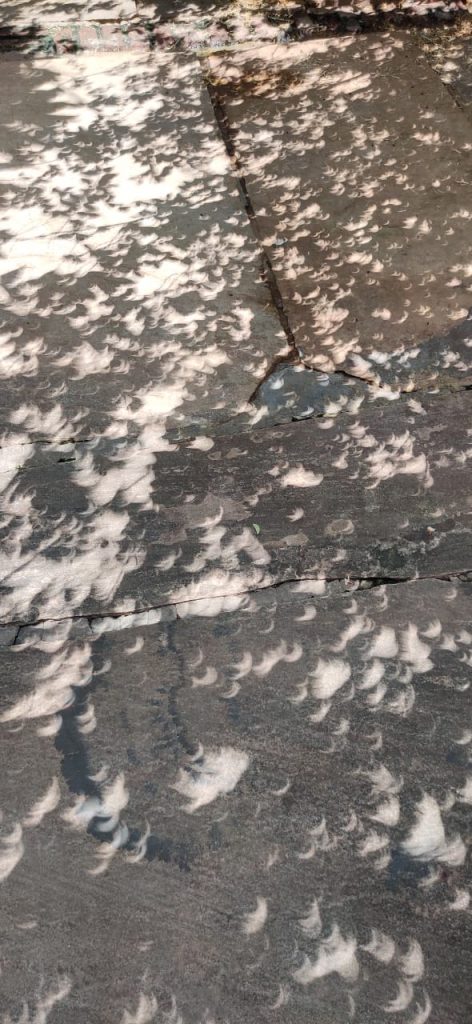 #सूर्य ग्रहण: MP के इस शहर में दिखा कुछ अद्भुत नजारा, देखें तस्वीरें