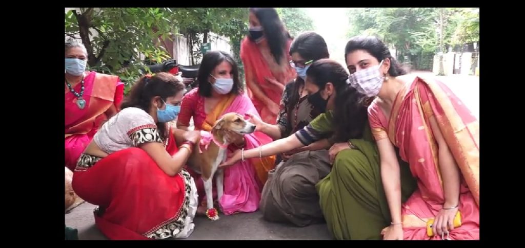 Rakshabandhan Special: इंदौर में DOGS को महिलाओं ने बांधी राखी, ये है कारण