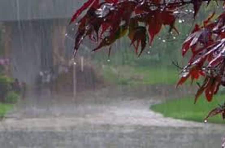 Weather update: पिछले 24 घंटों में झाबुआ जिले में हुई जोरदार बारिश, मौसम मे घुली ठंडक
