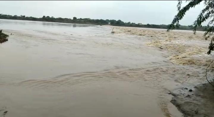 MP Rain: भारी बारिश से पार्वती नदी उफान पर, श्योपुर से राजस्थान के कोटा का सम्पर्क टूटा