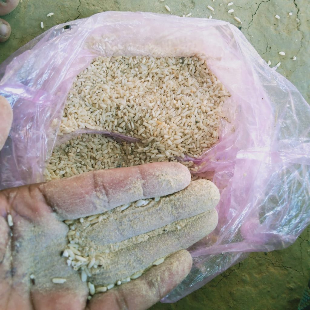 Mid Day Meal में बच्चों को दिया गया कीड़े वाला चावल, प्रशासन ने दिए जांच के आदेश