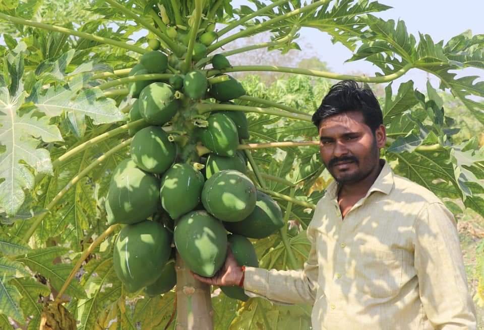 इंदौर के आग्रेनिक एक्सपो मेले में सजेंगे खरगोन की जैविक फसलों के स्टॉल