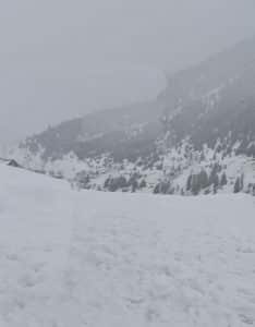 कश्मीर में बर्फबारी, पहाड़ों ने ओढ़ी सफेद चादर, चिनारों पर खिले बर्फ के फूल